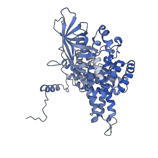 17659_8phe_B_v1-1
ACAD9-WT in complex with ECSIT-CTER