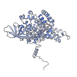 17660_8phf_A_v1-1
Cryo-EM structure of human ACAD9-S191A