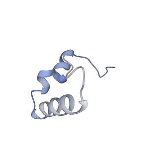 17667_8phj_1_v1-0
cA4-bound Cami1 in complex with 70S ribosome