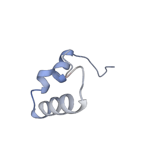 17667_8phj_1_v1-1
cA4-bound Cami1 in complex with 70S ribosome