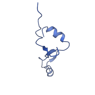 17667_8phj_2_v1-0
cA4-bound Cami1 in complex with 70S ribosome