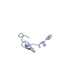 17667_8phj_4_v1-0
cA4-bound Cami1 in complex with 70S ribosome