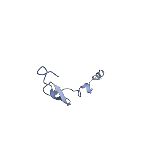 17667_8phj_4_v1-1
cA4-bound Cami1 in complex with 70S ribosome