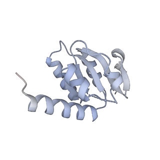 17667_8phj_5_v1-0
cA4-bound Cami1 in complex with 70S ribosome
