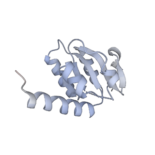 17667_8phj_5_v1-1
cA4-bound Cami1 in complex with 70S ribosome