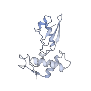 17667_8phj_6_v1-0
cA4-bound Cami1 in complex with 70S ribosome
