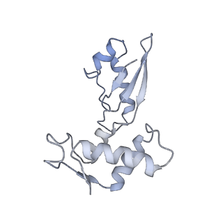 17667_8phj_6_v1-1
cA4-bound Cami1 in complex with 70S ribosome