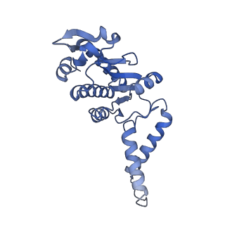 17667_8phj_B_v1-0
cA4-bound Cami1 in complex with 70S ribosome
