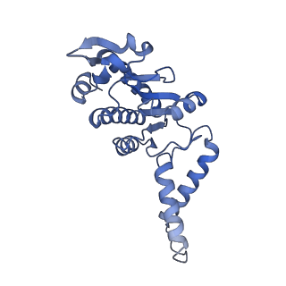 17667_8phj_B_v1-1
cA4-bound Cami1 in complex with 70S ribosome