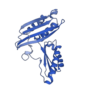 17667_8phj_C_v1-0
cA4-bound Cami1 in complex with 70S ribosome