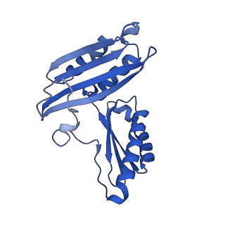 17667_8phj_C_v1-1
cA4-bound Cami1 in complex with 70S ribosome