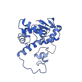 17667_8phj_D_v1-0
cA4-bound Cami1 in complex with 70S ribosome