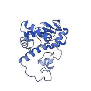 17667_8phj_D_v1-1
cA4-bound Cami1 in complex with 70S ribosome