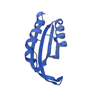 17667_8phj_F_v1-0
cA4-bound Cami1 in complex with 70S ribosome