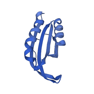 17667_8phj_F_v1-1
cA4-bound Cami1 in complex with 70S ribosome