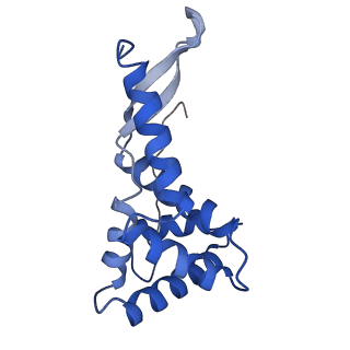 17667_8phj_G_v1-0
cA4-bound Cami1 in complex with 70S ribosome