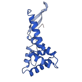 17667_8phj_G_v1-1
cA4-bound Cami1 in complex with 70S ribosome