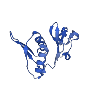 17667_8phj_H_v1-1
cA4-bound Cami1 in complex with 70S ribosome