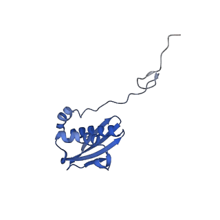 17667_8phj_I_v1-0
cA4-bound Cami1 in complex with 70S ribosome