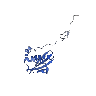 17667_8phj_I_v1-1
cA4-bound Cami1 in complex with 70S ribosome