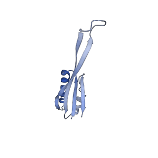 17667_8phj_J_v1-0
cA4-bound Cami1 in complex with 70S ribosome