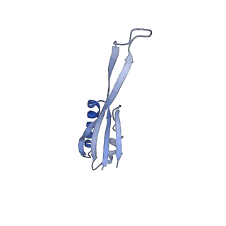 17667_8phj_J_v1-1
cA4-bound Cami1 in complex with 70S ribosome