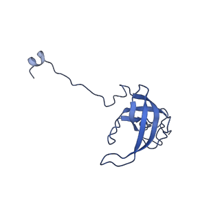 17667_8phj_L_v1-0
cA4-bound Cami1 in complex with 70S ribosome