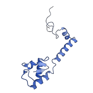 17667_8phj_M_v1-0
cA4-bound Cami1 in complex with 70S ribosome