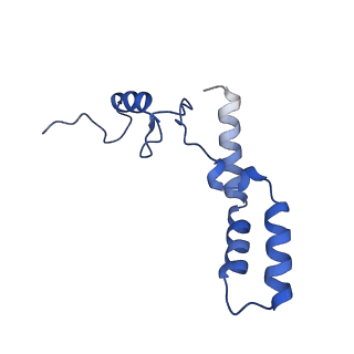 17667_8phj_N_v1-0
cA4-bound Cami1 in complex with 70S ribosome