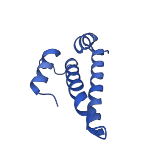 17667_8phj_O_v1-0
cA4-bound Cami1 in complex with 70S ribosome