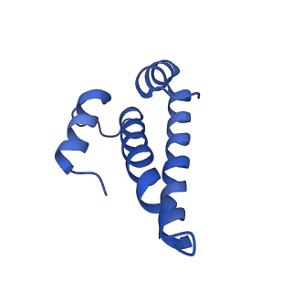 17667_8phj_O_v1-1
cA4-bound Cami1 in complex with 70S ribosome