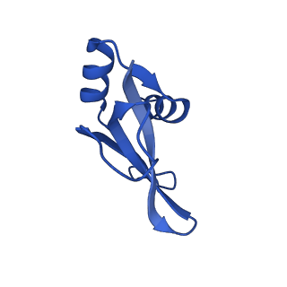 17667_8phj_P_v1-0
cA4-bound Cami1 in complex with 70S ribosome