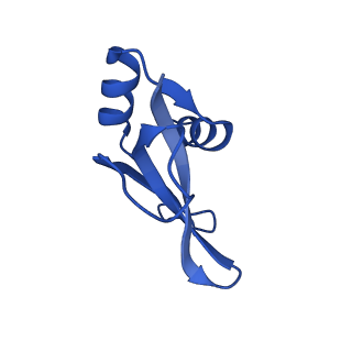 17667_8phj_P_v1-1
cA4-bound Cami1 in complex with 70S ribosome