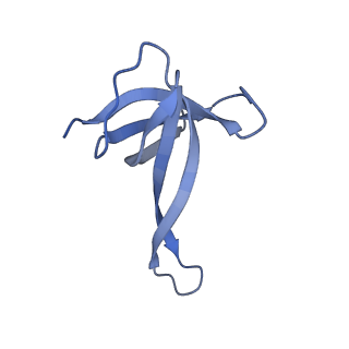 17667_8phj_Q_v1-0
cA4-bound Cami1 in complex with 70S ribosome