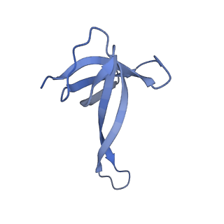 17667_8phj_Q_v1-1
cA4-bound Cami1 in complex with 70S ribosome