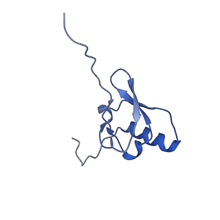 17667_8phj_S_v1-0
cA4-bound Cami1 in complex with 70S ribosome