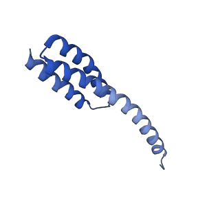 17667_8phj_T_v1-0
cA4-bound Cami1 in complex with 70S ribosome