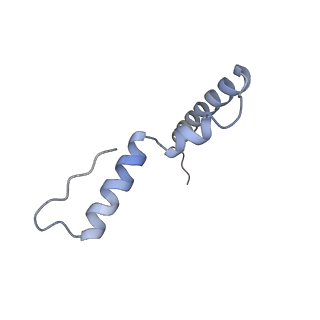 17667_8phj_U_v1-0
cA4-bound Cami1 in complex with 70S ribosome