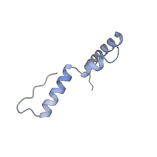 17667_8phj_U_v1-1
cA4-bound Cami1 in complex with 70S ribosome