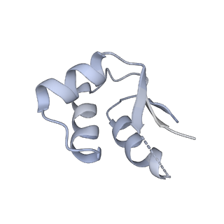 17667_8phj_W_v1-0
cA4-bound Cami1 in complex with 70S ribosome