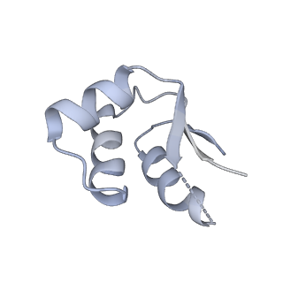 17667_8phj_W_v1-1
cA4-bound Cami1 in complex with 70S ribosome