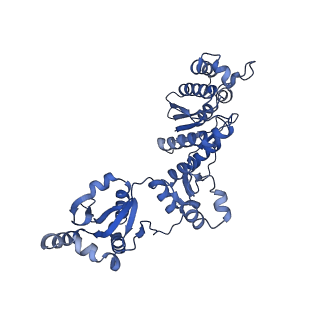 17667_8phj_X_v1-0
cA4-bound Cami1 in complex with 70S ribosome