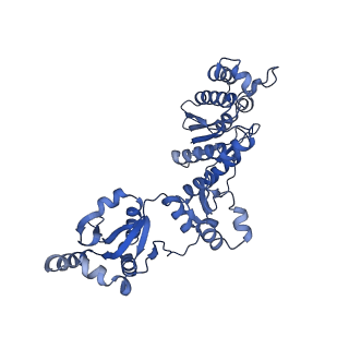 17667_8phj_X_v1-1
cA4-bound Cami1 in complex with 70S ribosome