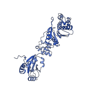 17667_8phj_Y_v1-0
cA4-bound Cami1 in complex with 70S ribosome