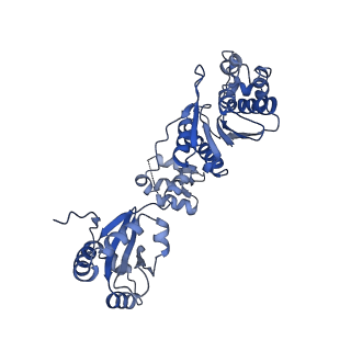 17667_8phj_Y_v1-1
cA4-bound Cami1 in complex with 70S ribosome