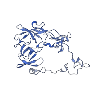 17667_8phj_c_v1-0
cA4-bound Cami1 in complex with 70S ribosome