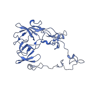 17667_8phj_c_v1-1
cA4-bound Cami1 in complex with 70S ribosome