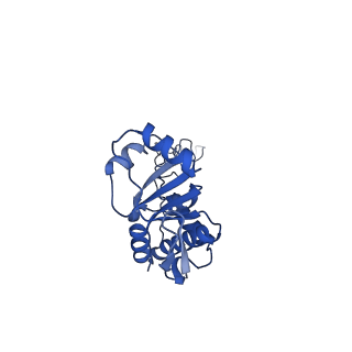 17667_8phj_e_v1-0
cA4-bound Cami1 in complex with 70S ribosome