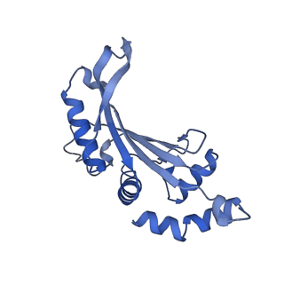 17667_8phj_f_v1-0
cA4-bound Cami1 in complex with 70S ribosome