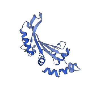 17667_8phj_f_v1-1
cA4-bound Cami1 in complex with 70S ribosome